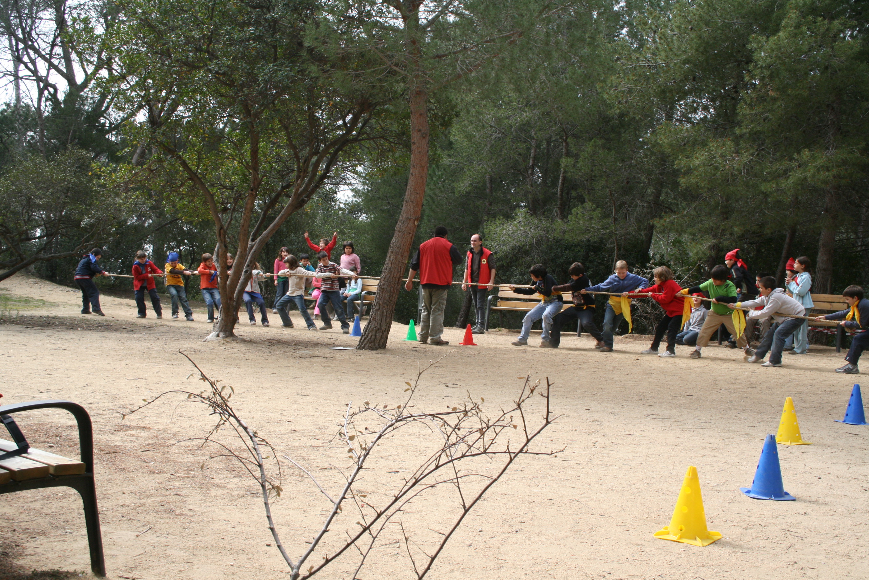 Joc amb nens al bosc